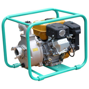 MOTOPOMPE  EAU CHARGEE ESSENCE TP 36 EX