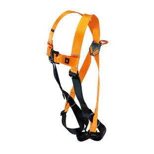 HARNAIS ANTICHUTE 2 POINTS NUS55