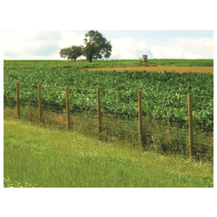 GRILLAGE NOUE SERIE LEGERE GALVA RICHE