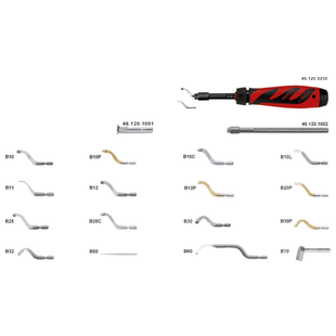 EBAVUREUR SHAVIV TYPE B