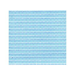 BACHE DE PROTECTION ARMEE TRANSPARENTE