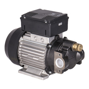 POMPE A HUILE A PALETTES 230V 1150W 25L/MN