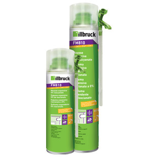 MOUSSE EXPANSIVE 0% ISOCYANATE 2EN1 FM810