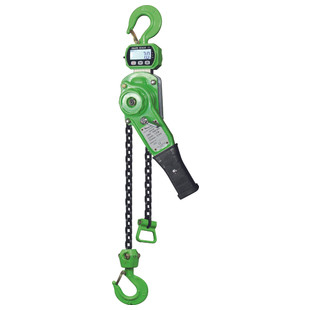 PALAN MANUEL A LEVIER PESEUR