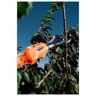 PERCHE TELESCOPIQUE POUR SECATEUR BCL25IB