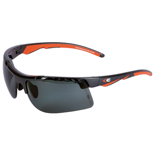 LUNETTE DE PROTECTION LIGHTNING POLAR 10 PIECES