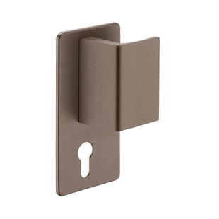 POIGNEE DE PORTE PALIERE POUR SERRURE BELUGA CP