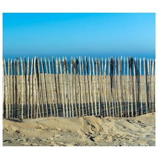 CLOTURE NATURELLE GANIVELLE