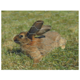 GRILL TT GALVA MAILLE 13 FIL 0.7 H0.50M ROUL 25ML