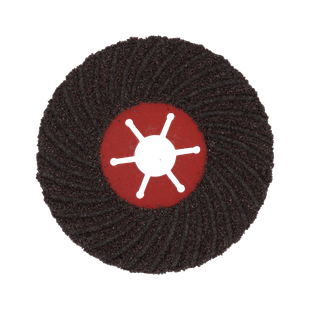 DISQUE A LAMELLES FIBREFLEX