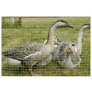 GRILLAGE SOUDE A MAILLE CARREE ARAVIS