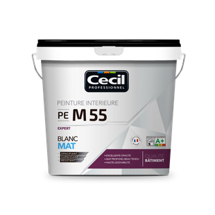 PEINTURE DE FINITION QUALITE PRO EXPERT 55