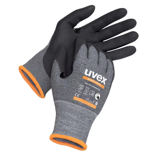 GANT ATHLETIC D5 XP